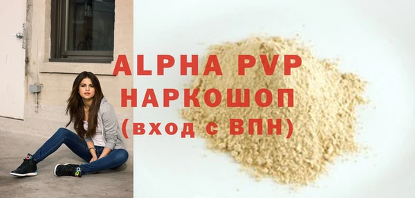 гашик Зеленокумск