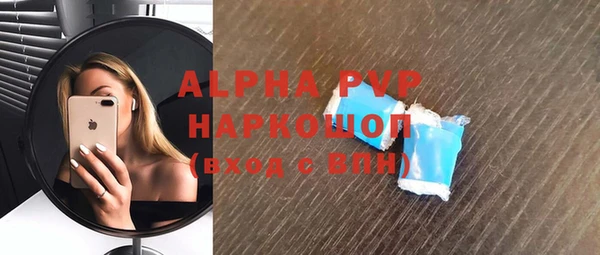 гашик Зеленокумск