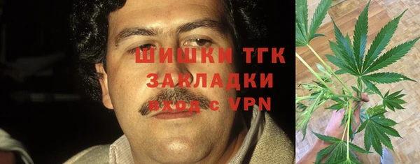 дмт Рославль