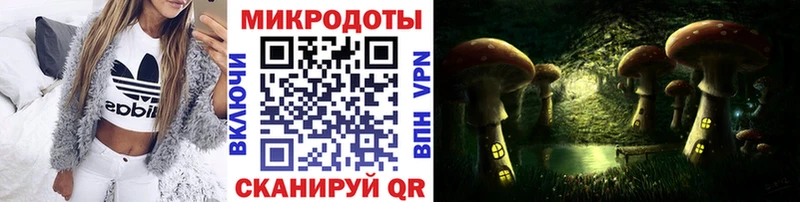 дарнет шоп  Сегежа  Псилоцибиновые грибы Magic Shrooms 