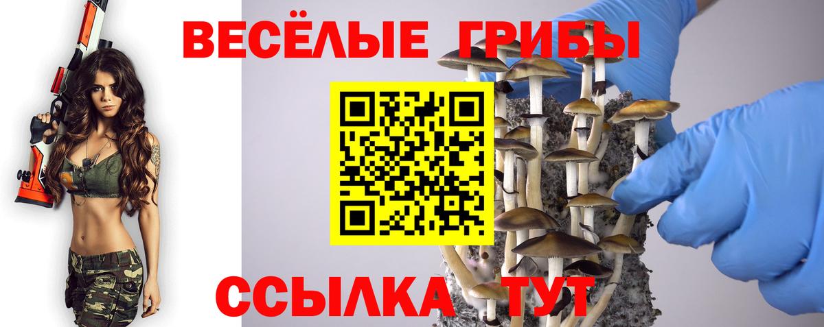 Галлюциногенные грибы Psilocybe  Галлюциногенные грибы Psilocybine cubensis  Сегежа  Вход с VPN 